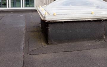disadvantages of Balemartine flat roofs